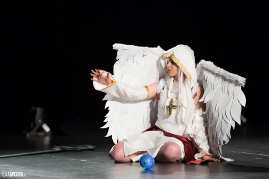 Copyright : AGVision