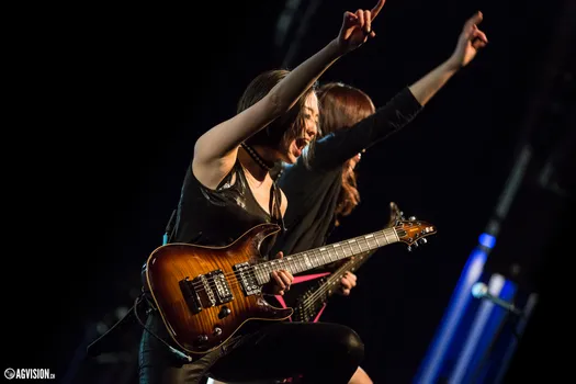 Aperçu de la galerie 2017